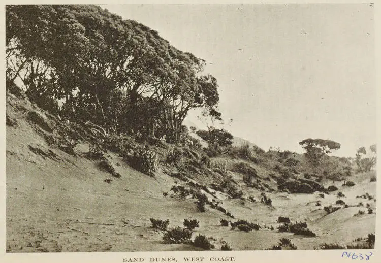 Sand dunes, West Coast