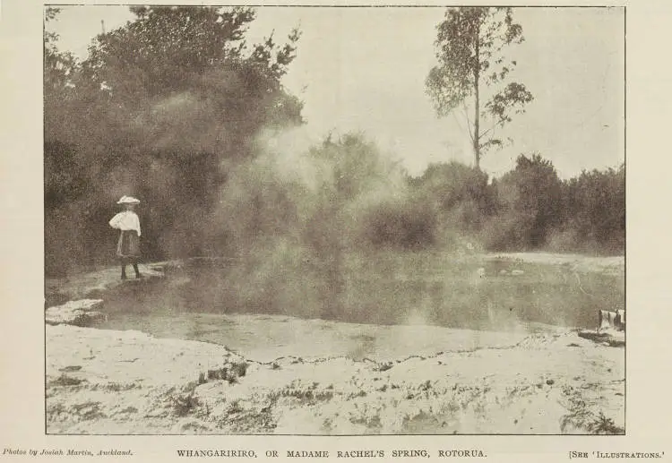 Whangapipiro, or Madame Rachel's Spring, Rotorua