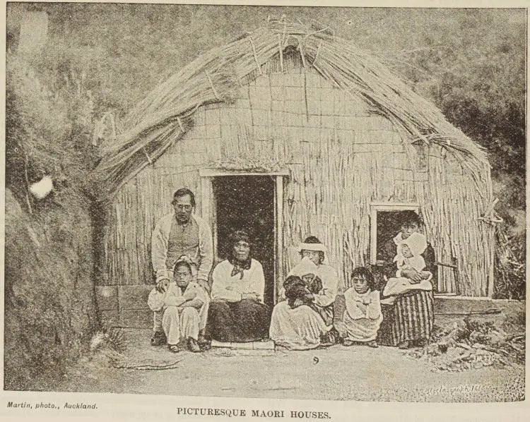 Picturesque Māori Houses