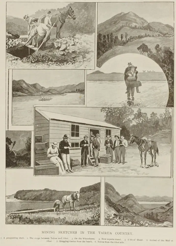 Mining sketches in the Tairua country