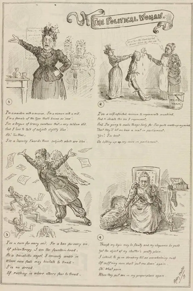 The Political Woman