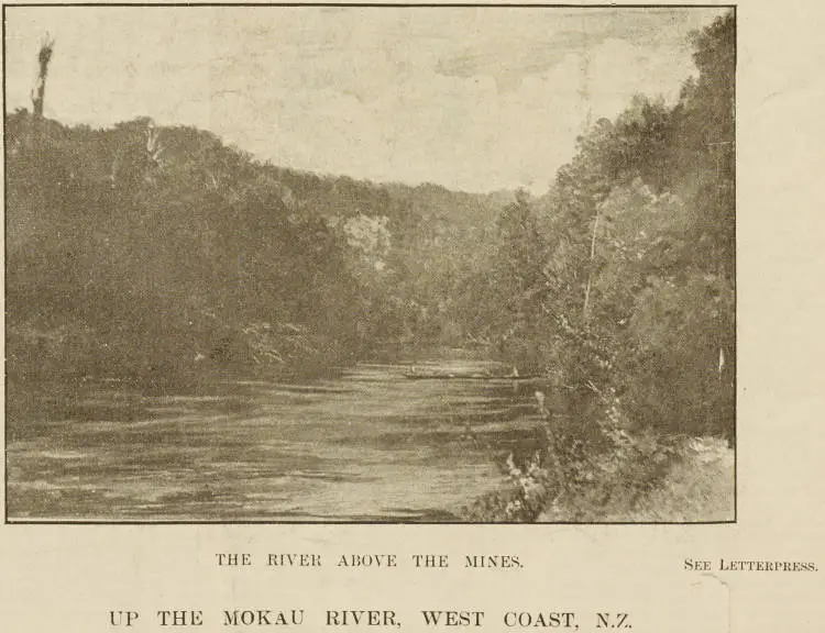 The river above the mines - Up the Mokau River, West Coast, N.Z.