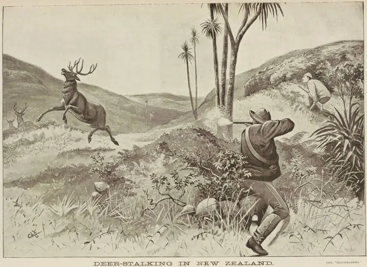 Deer-stalking in New Zealand