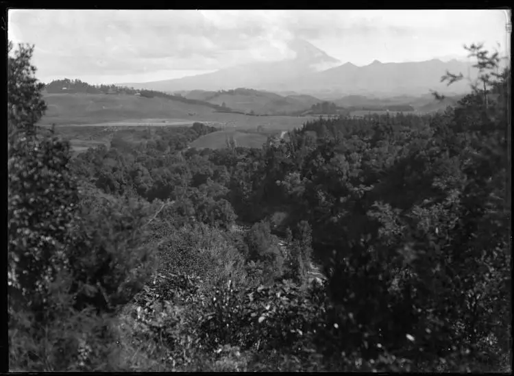 Burgess Park, New Plymouth, 1939
