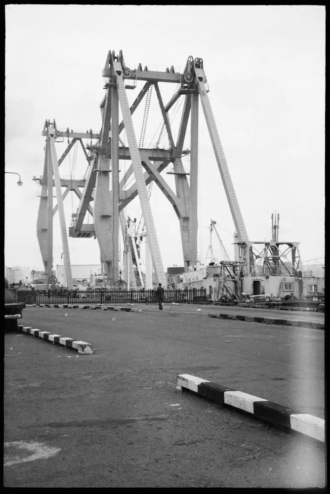 Japanese Floating Cranes, 1967