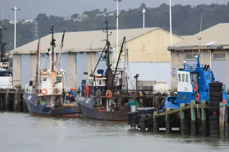 Trawlers at the Onehunga Wharf, 2009