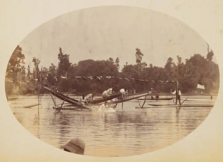 Mercer Regatta