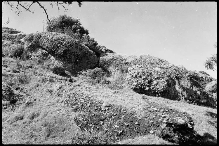 Maungapiko Hill, Spirits Bay, 1980