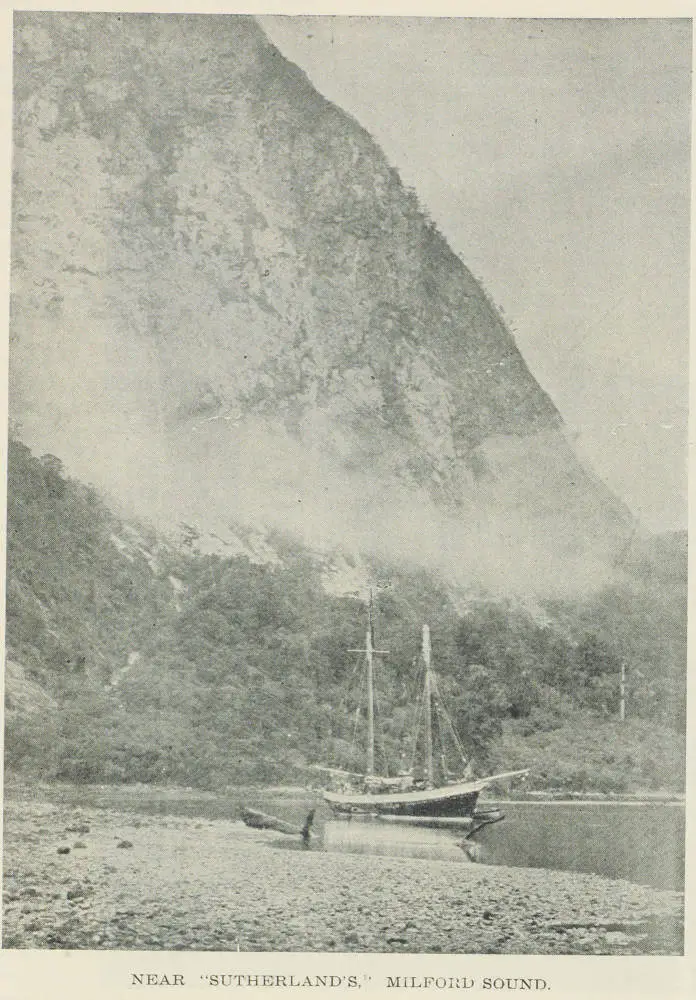 Sutherland's in Milford Sound
