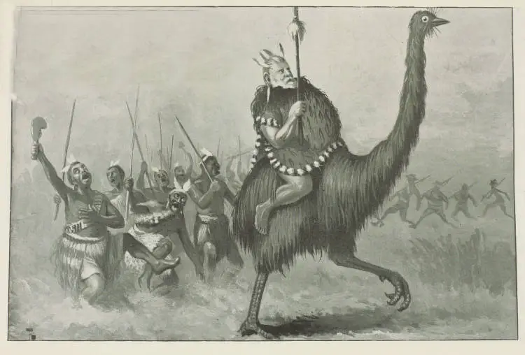 Seddonius Africanus