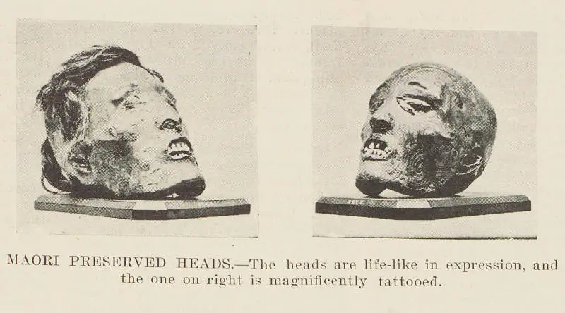 Māori preserved heads