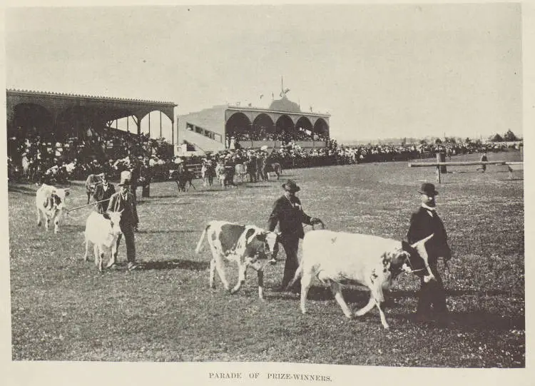 Parade of prize-winners