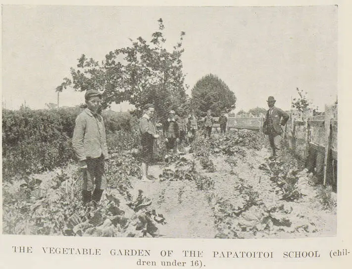 The vegetable garden of the Papatoitoi School (children under 16)