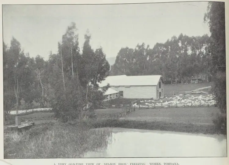 A very old-time view of Nelson bros.' freezing works, Tomoana
