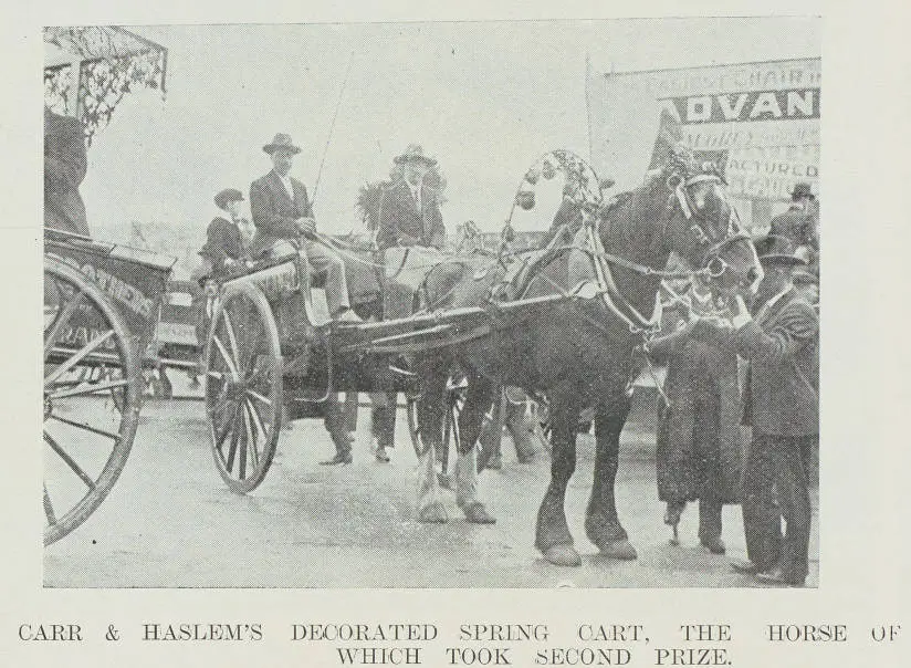 Carr & Haslem's decorated spring cart, the horse of which took second prize