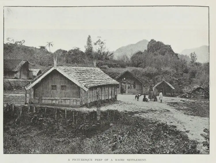 A picturesque peep of a Māori settlement