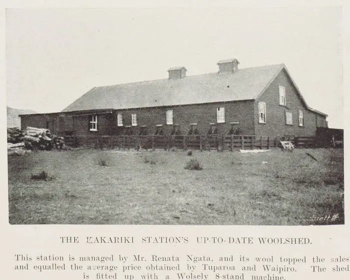 The Kakariki Station's up-to-date woolshed