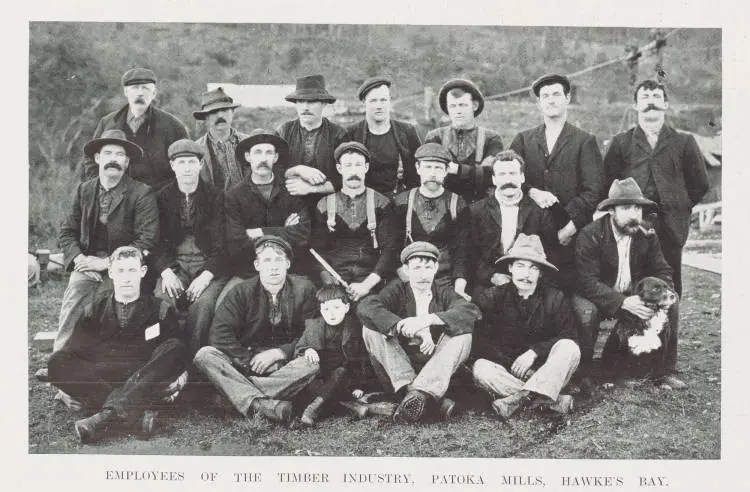 Employees of the timber industry, Patoka mills, Hawke's Bay