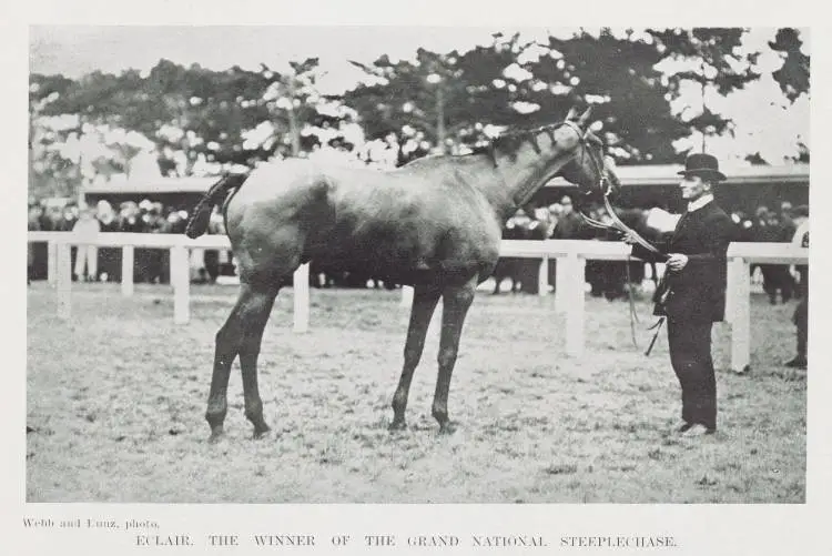Eclair, the winner of the Grand National steeplechase