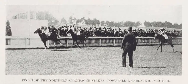 Finish of the Northern Champagne stakes: Downfall 1, Cadence 2, Pohutu 3