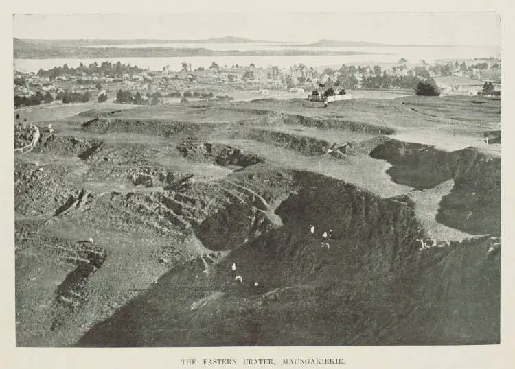 The eastern crater, Maungakiekie