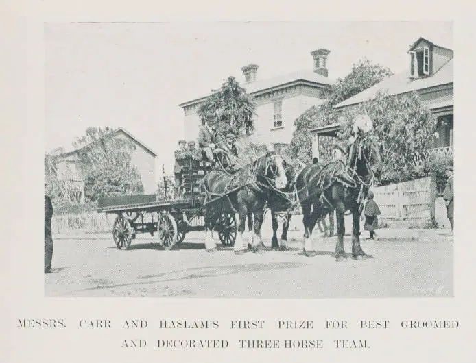 Messrs Carr and Haslam's first prize for best groomed and decorated three-horse team