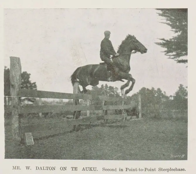 Mr W Dalton on Te Auku. second in point-to-point steeplechase