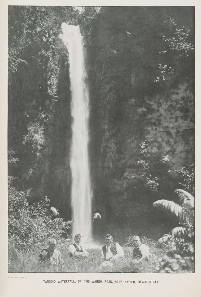 Tangoio Waterfall, on the Wairoa Road, near Napier, Hawke's Bay