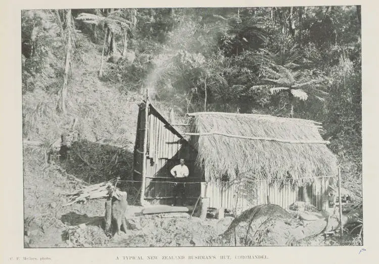 A typical New Zealand bushman's hut, Coromandel