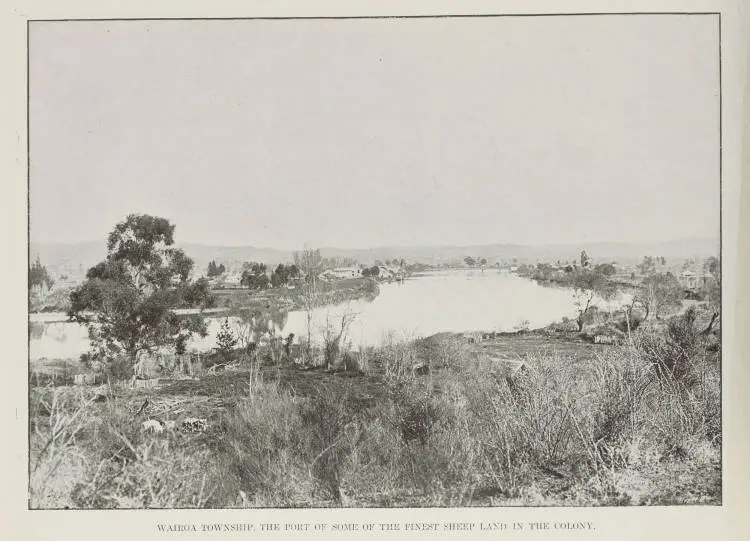 Wairoa Township. the port of some of the finest sheep land in the colony
