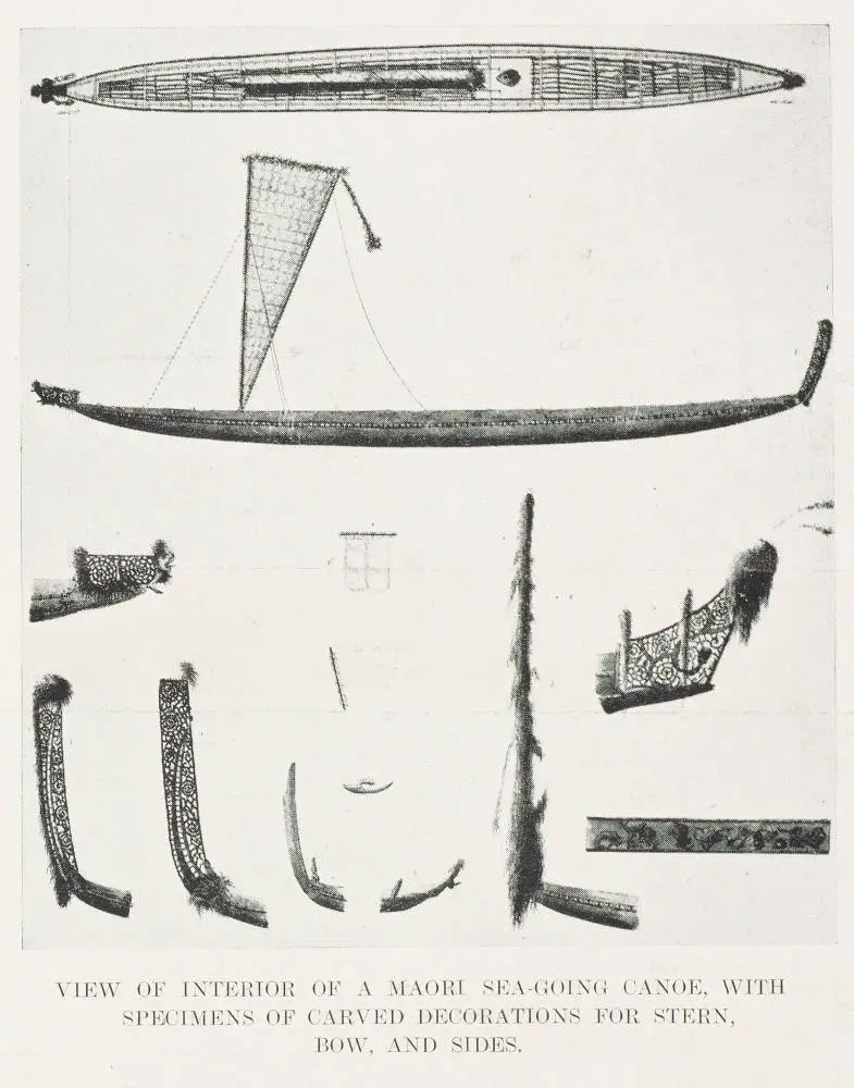 View of interior of a Māori sea-going canoe, with specimens of carved decorations for stern, bow, and sides