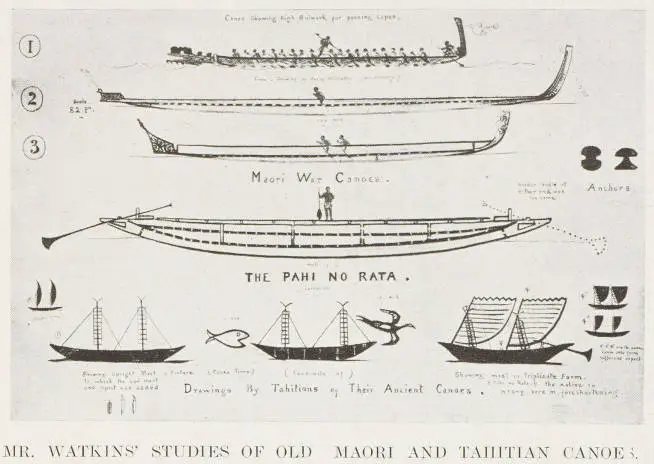 Mr. Watkin's studies of old Māori and Tahitian canoes