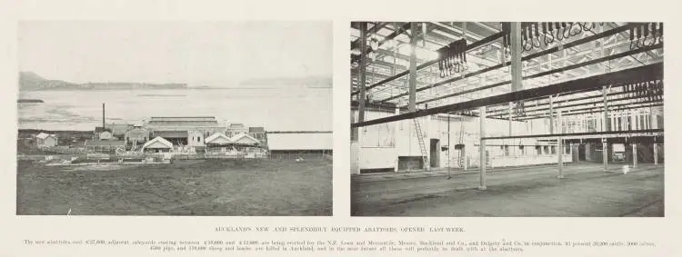 Auckland's new and splendidly equipped abattoirs, opened last week