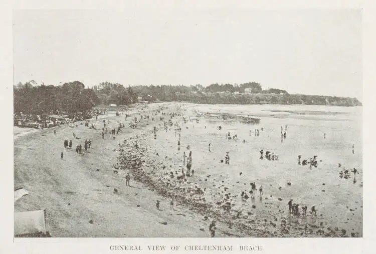 General view of Cheltenham Beach