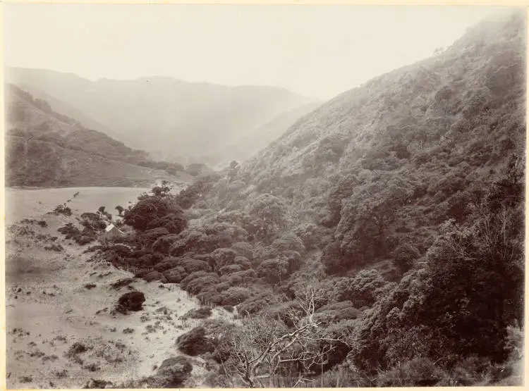 Karekare Valley, Waitākere Ranges