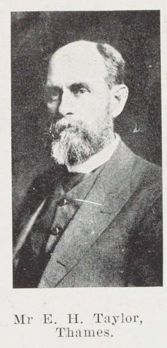 Mr E. H. Taylor