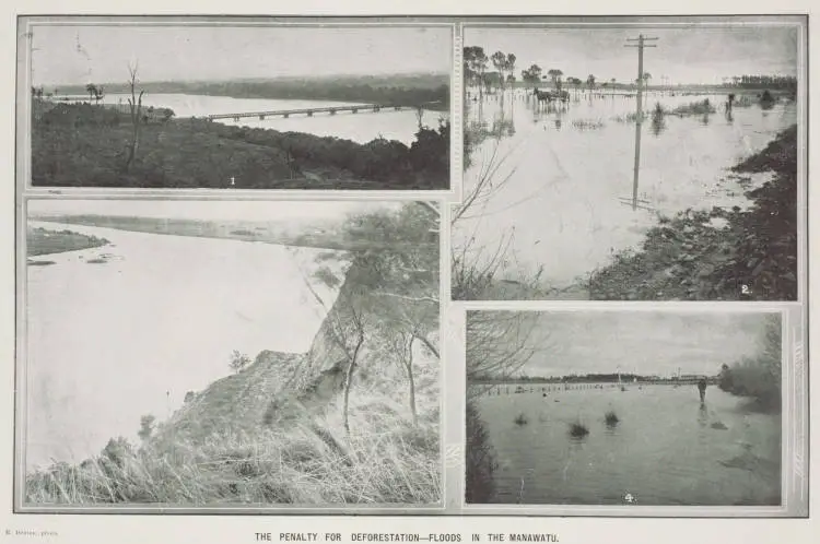 The penalty for deforestation - floods in the Manawatu