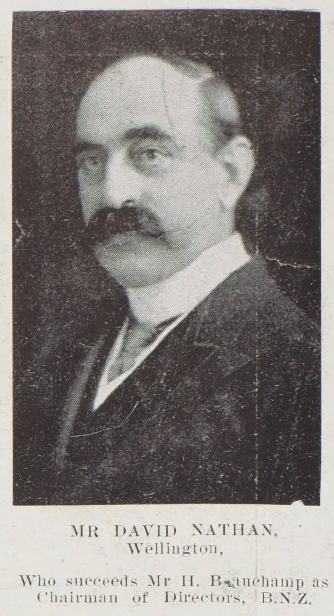 David Nathan, Wellington
