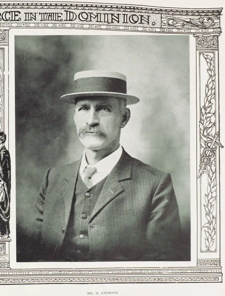 Mr H. Gibbons