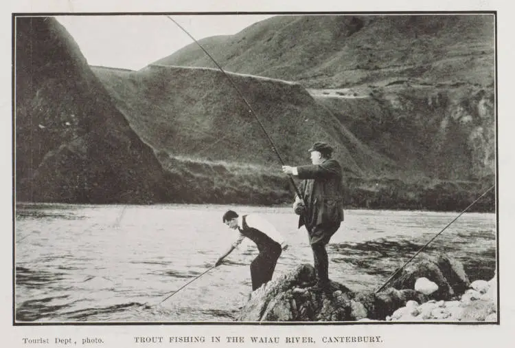 Trout fishing in the Waiau River, Canterbury