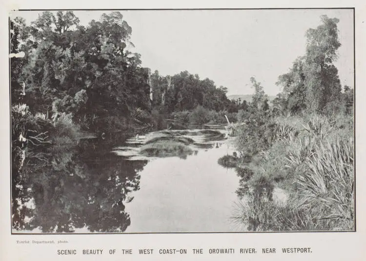 Scenic beauty of the West Coast-on the Orowaiti River, near Westport