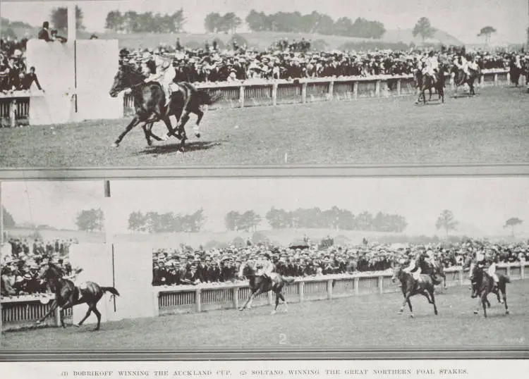(1) Bobrikoff winning the Auckland Cup. (2) Soltano winning the Great Northern Foal Stakes