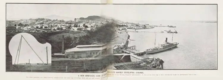 A new bird's-eye view of Devonport, one of Auckland's rapidly developing suburbs