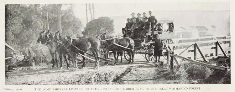 The commissioners leaving Ohakune to inspect timber bush in the great Waimarino Forest