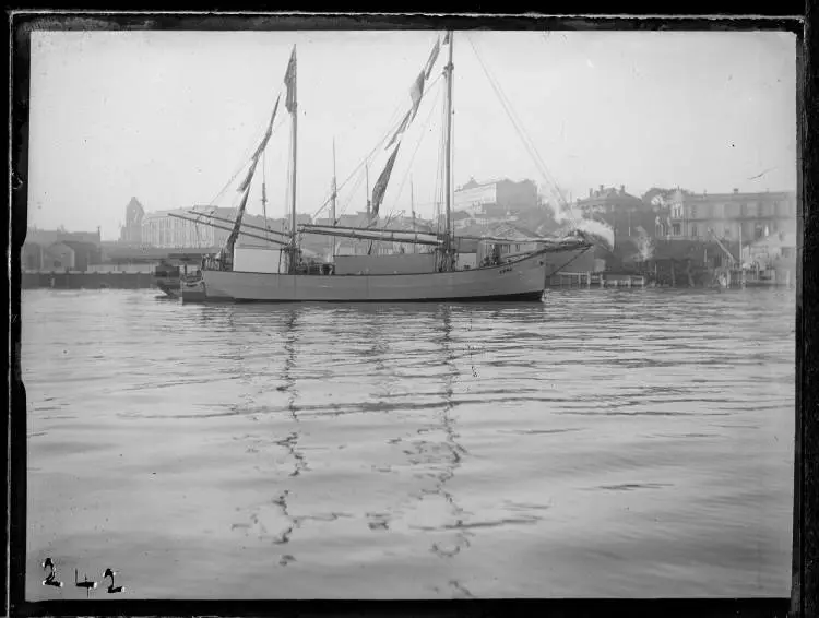 The scow Lena, Freemans Bay