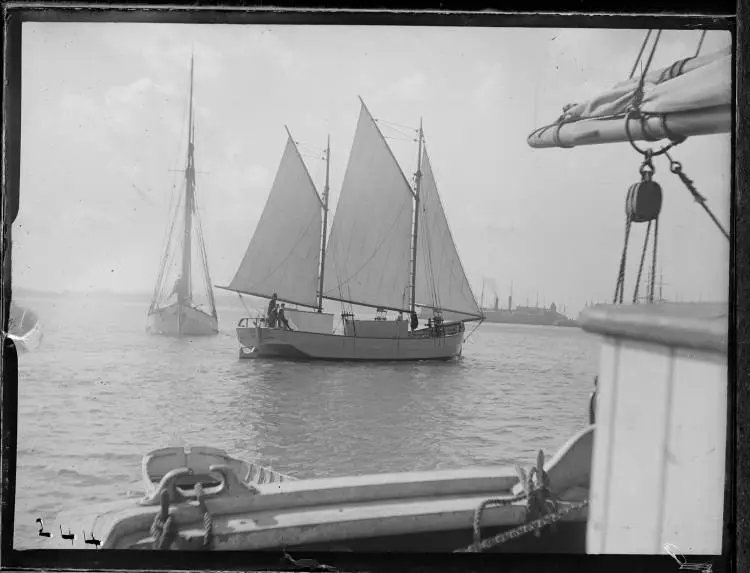 The scow Lena, Freemans Bay