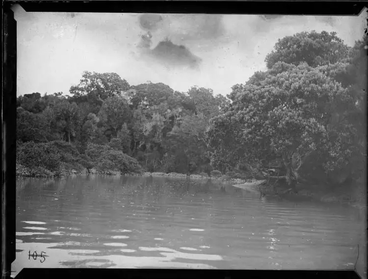 Unidentified bay in the Hauraki Gulf