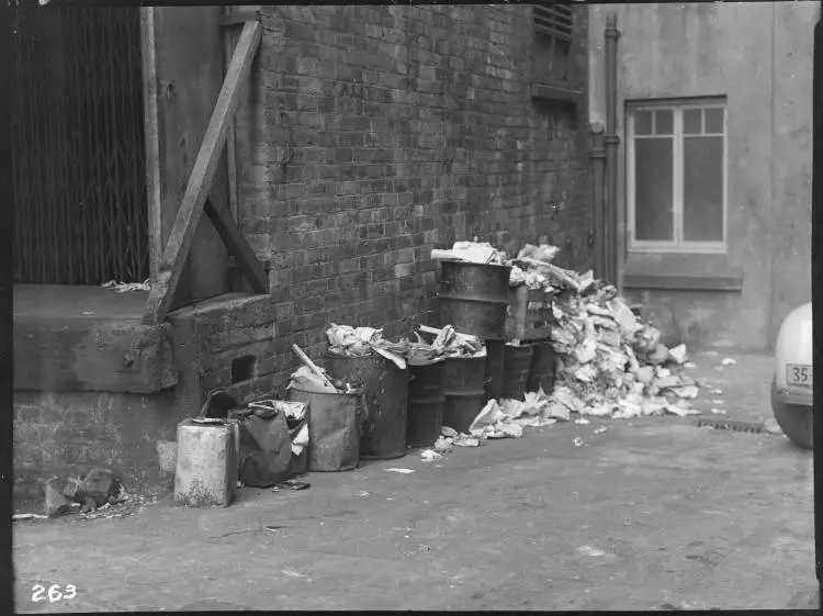 Rubbish bins in central Auckland