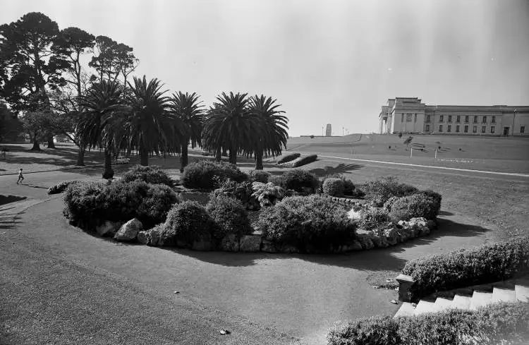 Pond in the Auckland Domain, 1964