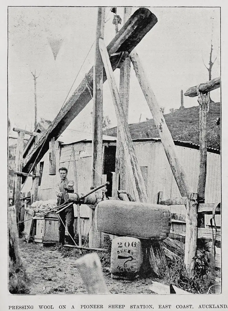 Pressing wool on a pioneer sheep station, East Coast, Auckland